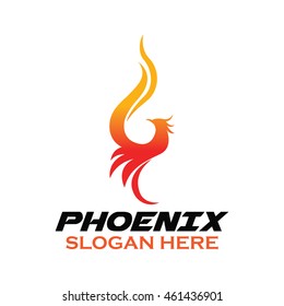 Phoenix bird logo template
