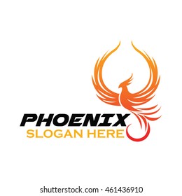 Phoenix bird logo template