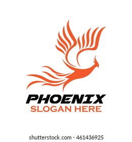 Phoenix bird logo template