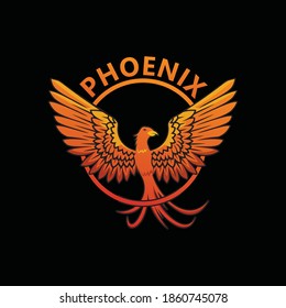 Phoenix bird logo template design