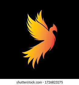 phoenix bird logo vector concept