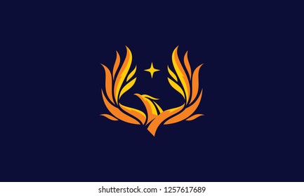 phoenix bird logo vector icon