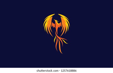 phoenix bird logo vector icon