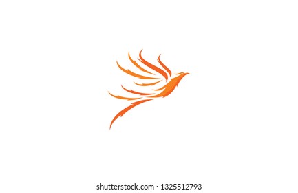 phoenix bird logo vector icon