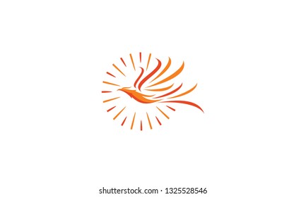 phoenix bird logo vector icon
