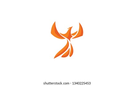 phoenix bird logo vector icon