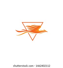 phoenix bird logo vector icon