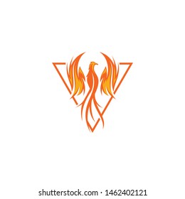 phoenix bird logo vector icon