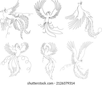 Phoenix bird set one line drawing, outline, vector