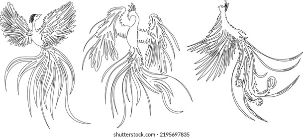 phoenix bird sketch,outline vector, isolated