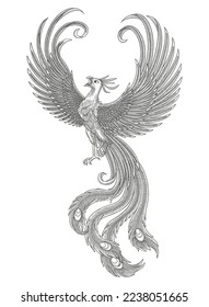 Phoenix bird. Vintage Engraving drawing style, vector Illustration