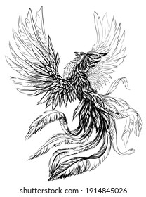 Phoenix. Black and white, graphic, digital drawing of the phoenix bird on a white background. Vector graphics. Separate layers.