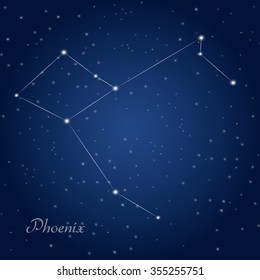 Phoenix constellation at starry night sky 