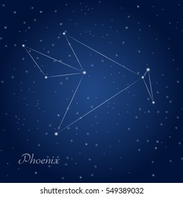 Phoenix constellation at starry night sky