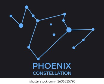 Phoenix constellation. Stars in the night sky. Cluster of stars and galaxies. Constellation of blue on a black background. Vector illustration