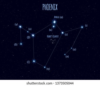 Phoenix constellation, vector illustration with the names of basic stars against the starry sky