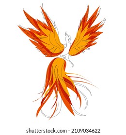 phoenix continuous line drawing, sketch,vector