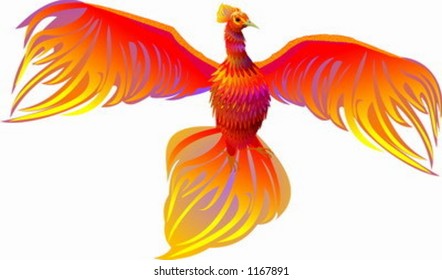 Phoenix.  Drawing