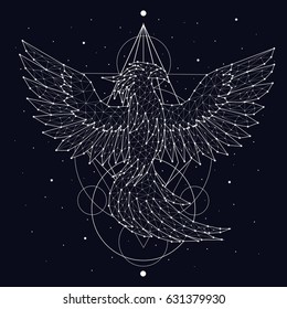 Phoenix, fire and ashes, rebirth, mystic bird, print, constellation, star, space, vector