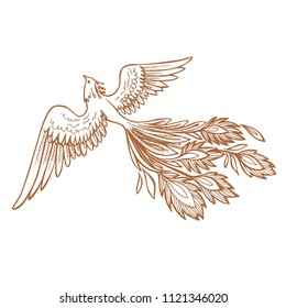 Phoenix Fire bird illustration and character design.Hand drawn Phoenix tattoo Japanese and Chinese style,Legend of the Firebird is Russian fairy tales and it is creature from Slavic folklore.