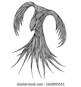 Phoenix Fire bird illustration and character design. Phoenix fire bird isolated on white background. Japanese animal tattoo design. Hand drawn outline vector illustration.
