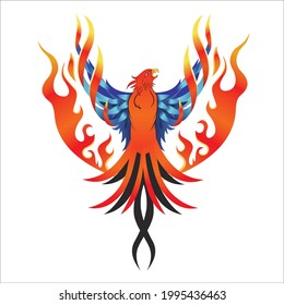 Phoenix Fire bird illustration and character design in white background with golden and blue wings logo.