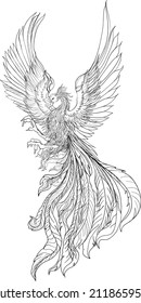 Phoenix Fire bird illustration and character design.Hand drawn Phoenix tattoo Japanese and Chinese style,Legend of the Firebird is Russian fairy tales and it is creature from Slavic folklore.