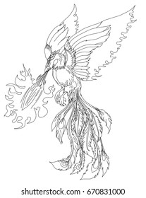Phoenix Fire bird illustration and character design.Hand drawn Phoenix tattoo Japanese and Chinese style,Legend of the Firebird is Russian fairy tales and it is creature from Slavic folklore.