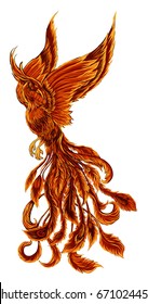 Phoenix Fire bird illustration and character design.Hand drawn Phoenix tattoo Japanese and Chinese style,Legend of the Firebird is Russian fairy tales and it is creature from Slavic folklore.