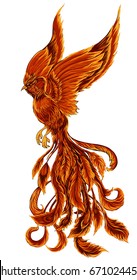 Phoenix Fire bird illustration and character design.Hand drawn Phoenix tattoo Japanese and Chinese style,Legend of the Firebird is Russian fairy tales and it is creature from Slavic folklore.