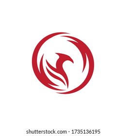 Phoenix fire Bird Logo Template vector