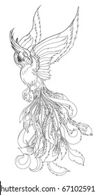 Phoenix Fire bird outline and doodle style.Hand drawn Phoenix tattoo Japanese and Chinese style,Legend of the Firebird is Russian fairy tales and it is creature from Slavic folklore.