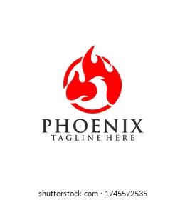 Phoenix Fire Bird Team Logo Template Vector