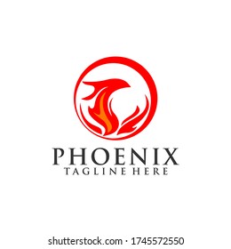 Phoenix Fire Bird Team Logo Template Vector