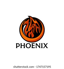 Phoenix Fire Bird Team Logo Template Vector 