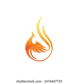 Phoenix fire logo vector. Phoenix bird logo template