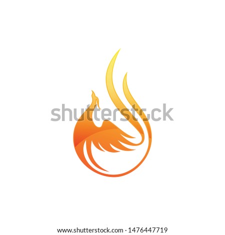 Phoenix fire logo vector. Phoenix bird logo template