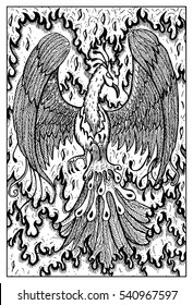 Phoenix in flame. Bird in fire. Fantasy magic creatures collection. Hand drawn vector illustration. Engraved line art drawing, graphic mythical doodle. Template for card game, poster