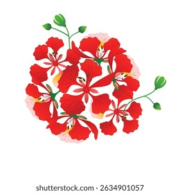 phoenix flor ilustração botânica em vermelho laranja tons amarelos com folhas verdes sobre fundo branco.