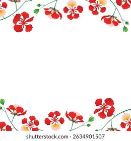 phoenix flor ilustração botânica em vermelho laranja tons amarelos com folhas verdes sobre fundo branco.