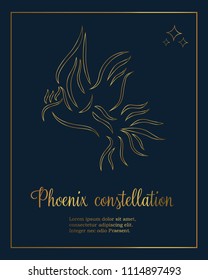 Phoenix golden constellation in the night sky.