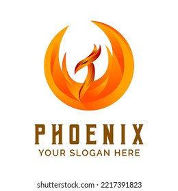 Phoenix Gradient Logo Design Vector Mascot template