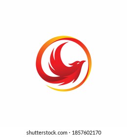 phoenix logo with circle concept
