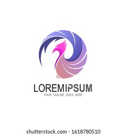 Phoenix logo with colorful design illustration, Eagle logo , flying bird icon