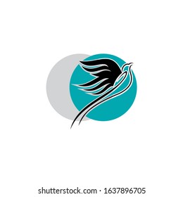 phoenix logo design concept template vector