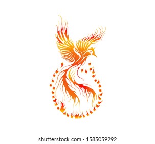 Phoenix logo design. Illustration of the Burning phoenix flew out of the egg. 