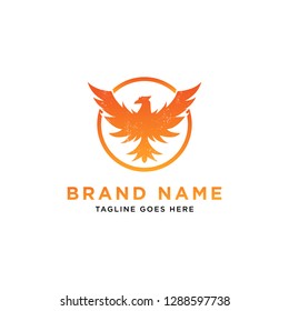 Phoenix Logo Design Inspiration, Vector illustration