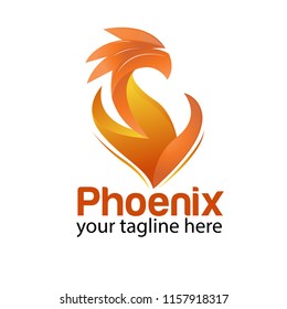 Phoenix logo design template. Animal logo vector