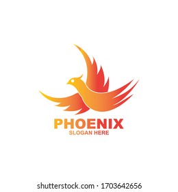 Phoenix logo design template. Vector Illustration
