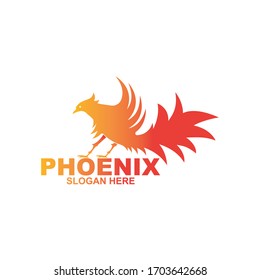Phoenix logo design template. Vector Illustration
